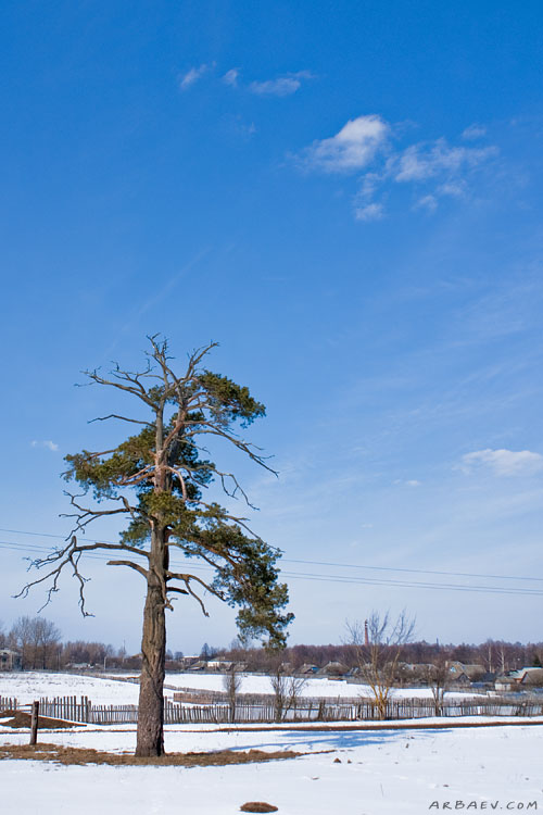 Просторно в Бытоше