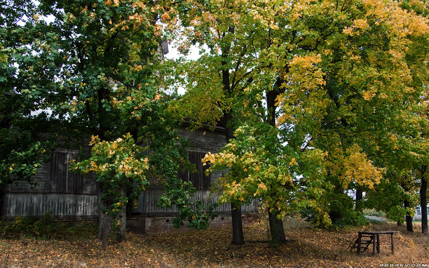 Крапивна, церковь Михаила Архангела