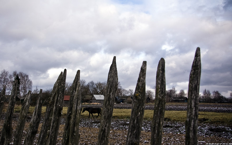 Кузнецы