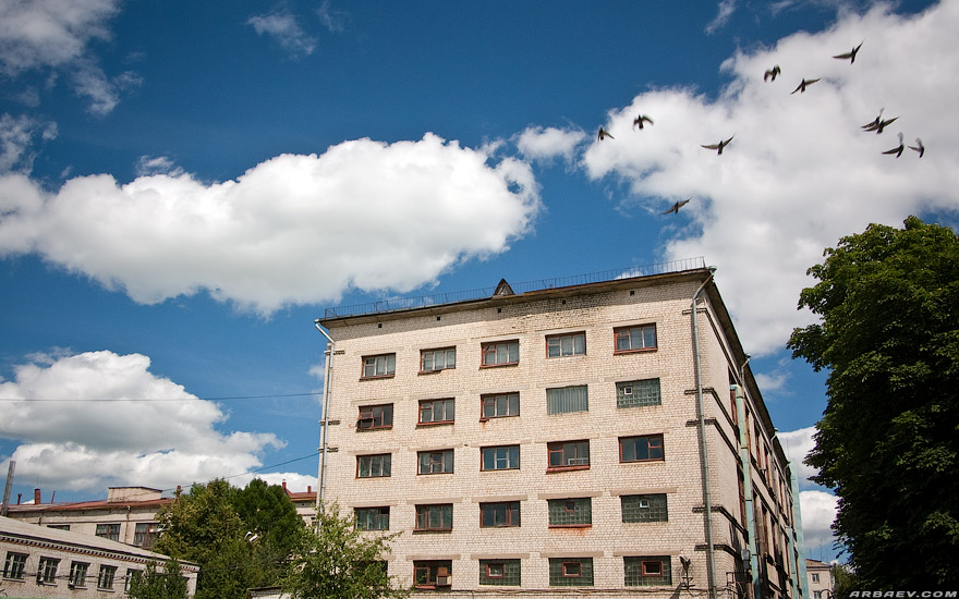 Стародуб