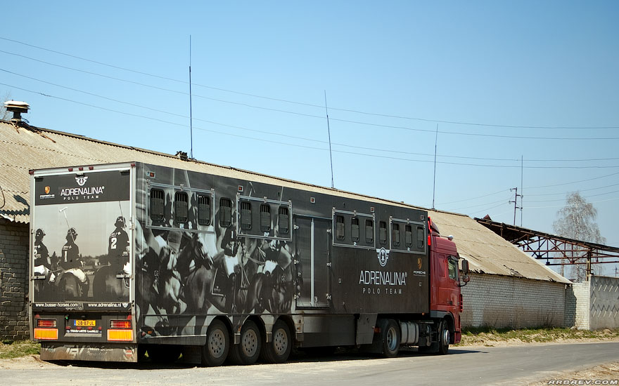 Локоть