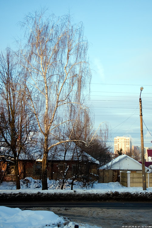 Кильдим